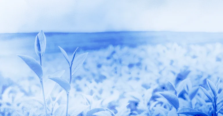 Agriculture procurement: Process management for cost savings & profits